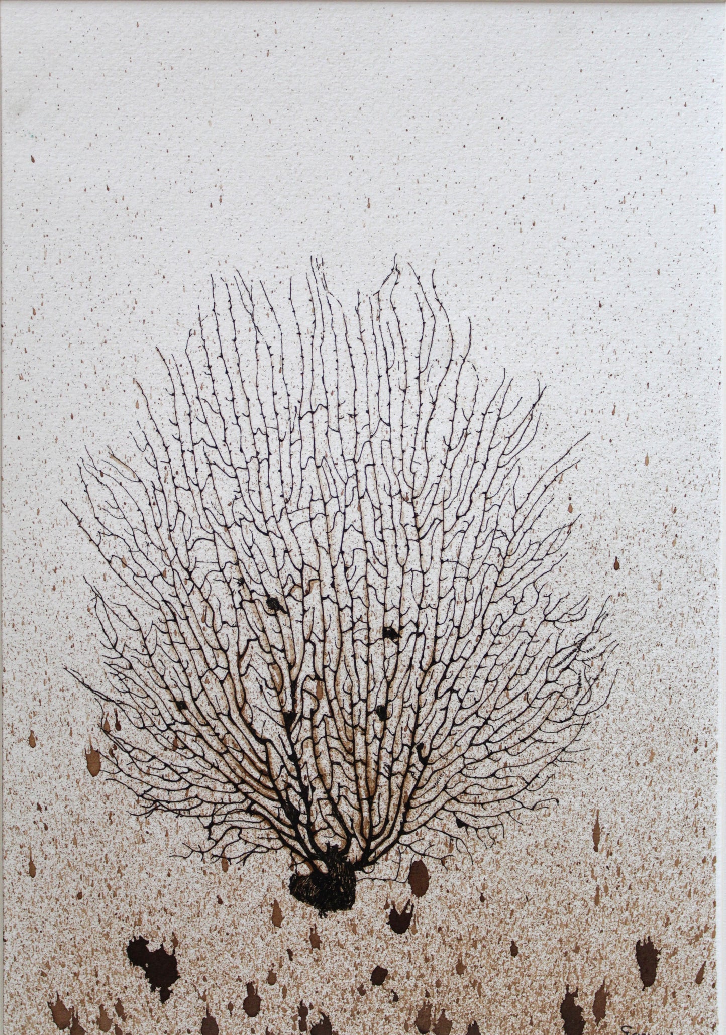 Untitled VP137