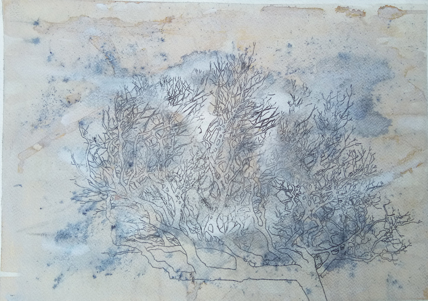 Untitled VP213