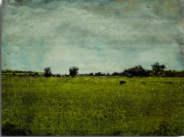 Untitled PP24