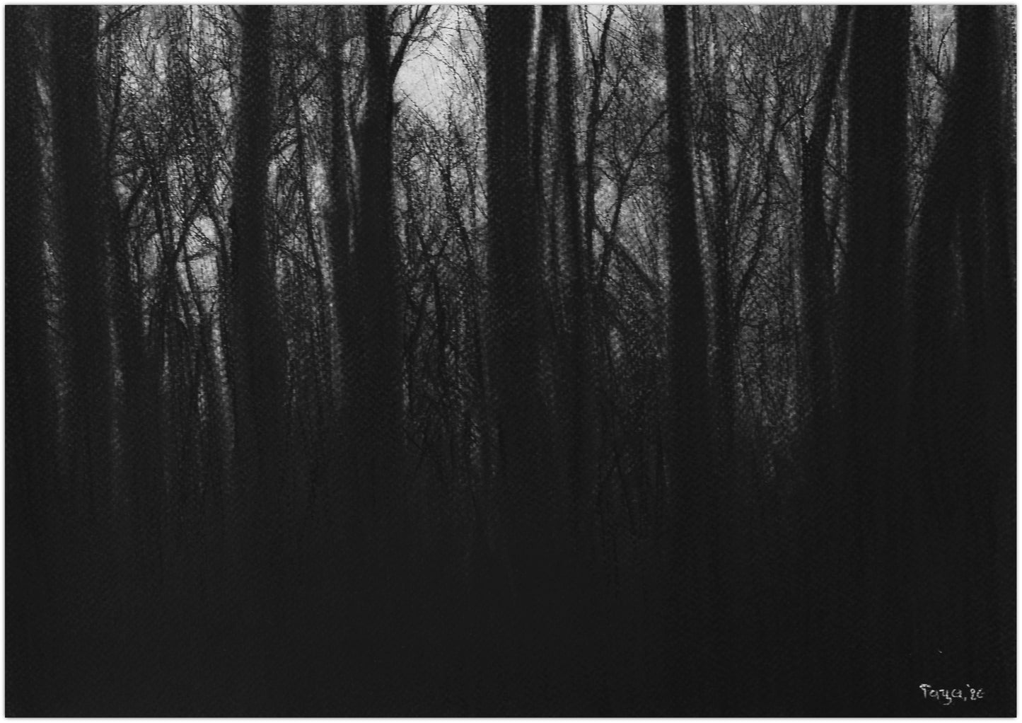Untitled VP223