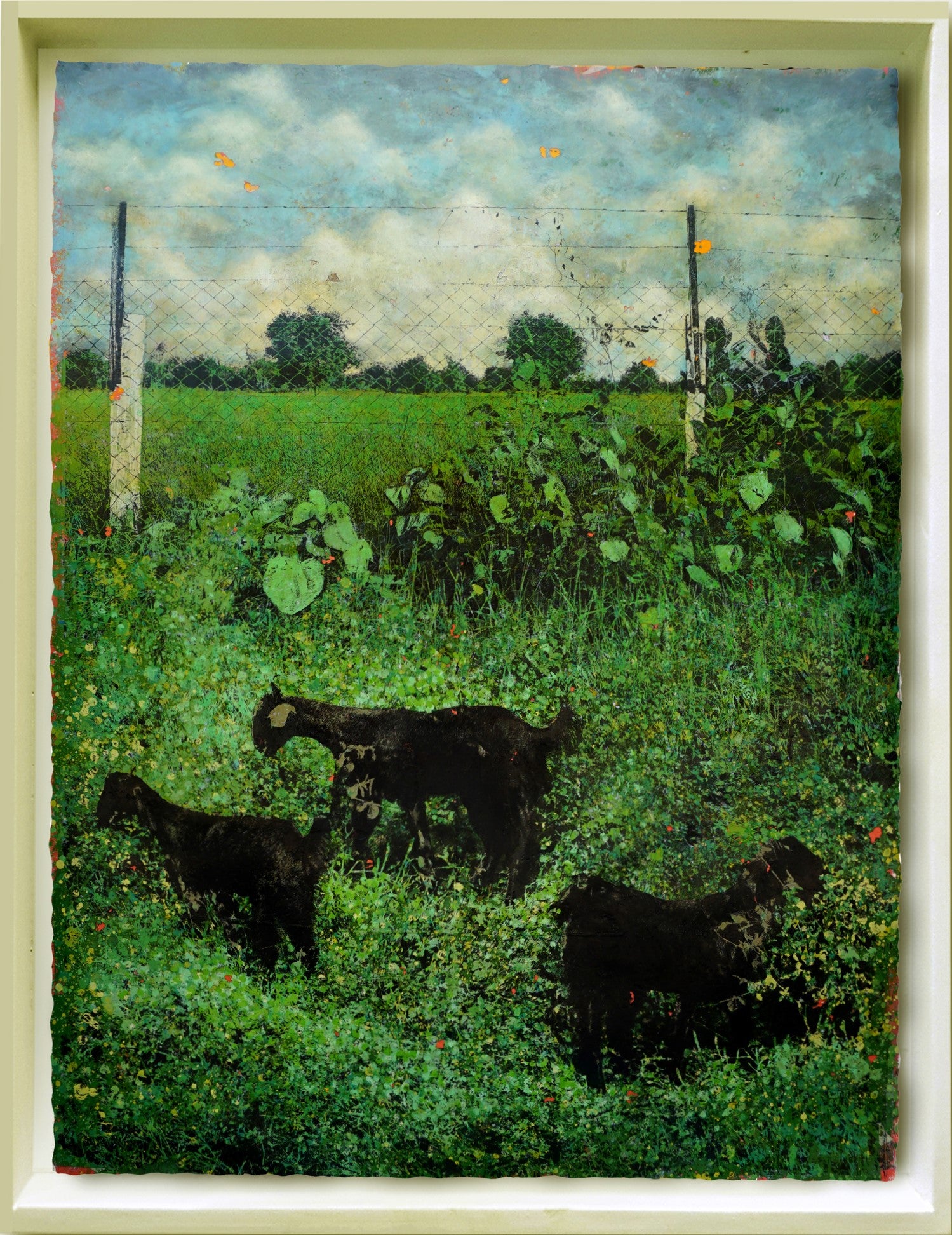 Untitled PP31