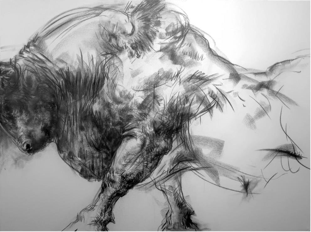 New Bull 21 SB26
