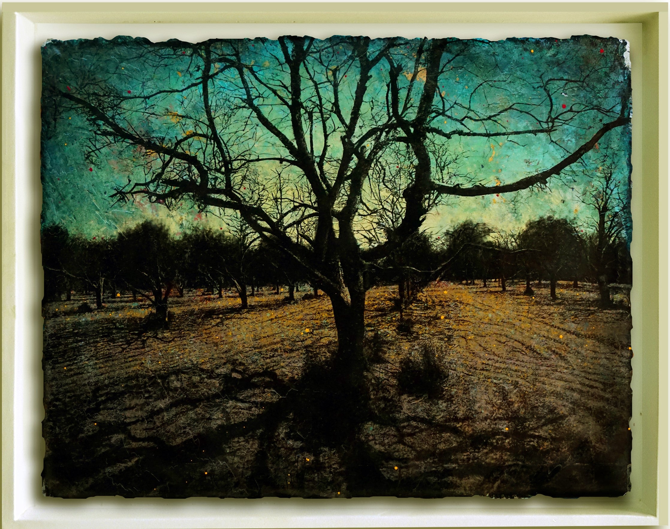 Untitled PP33