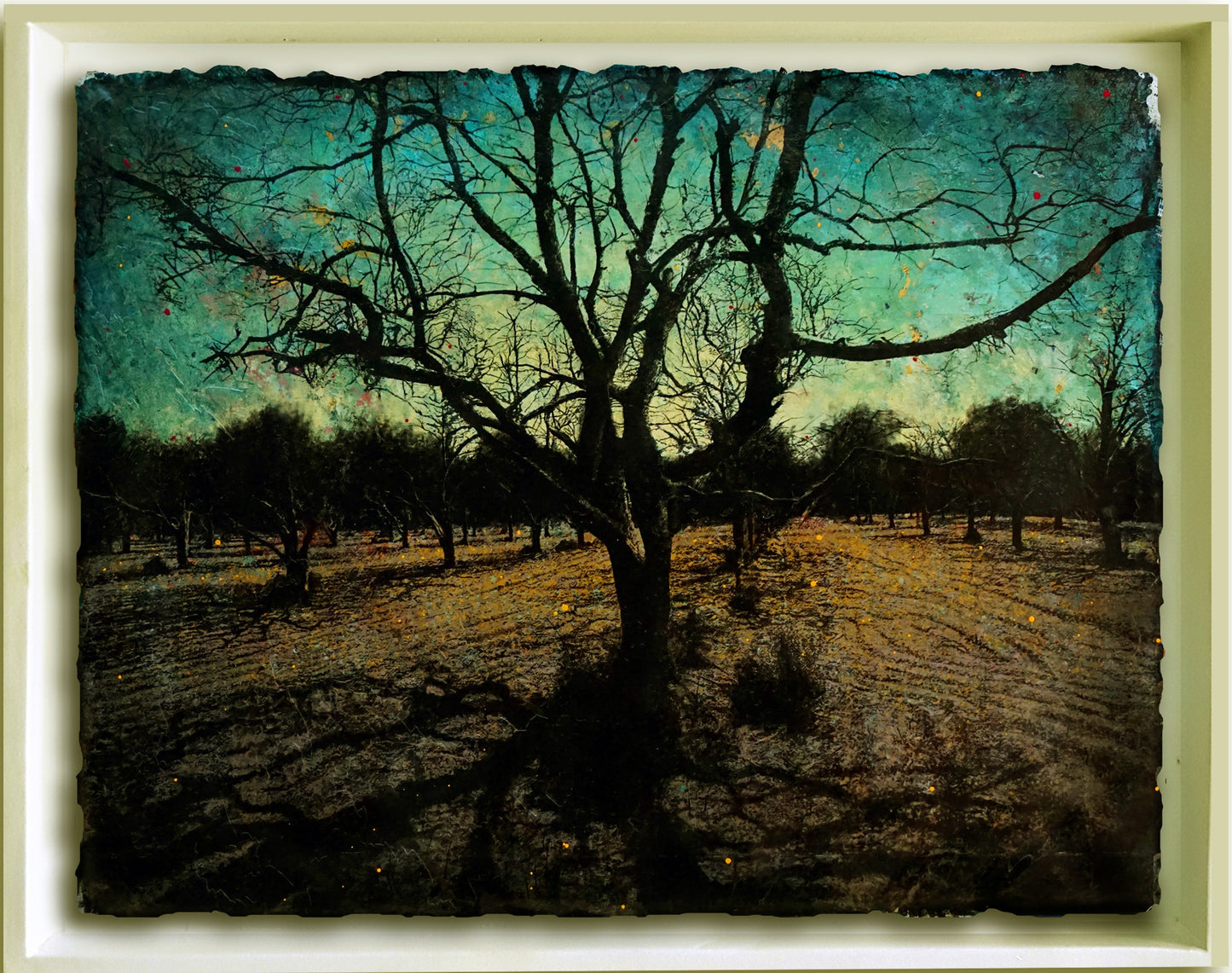 Untitled PP33