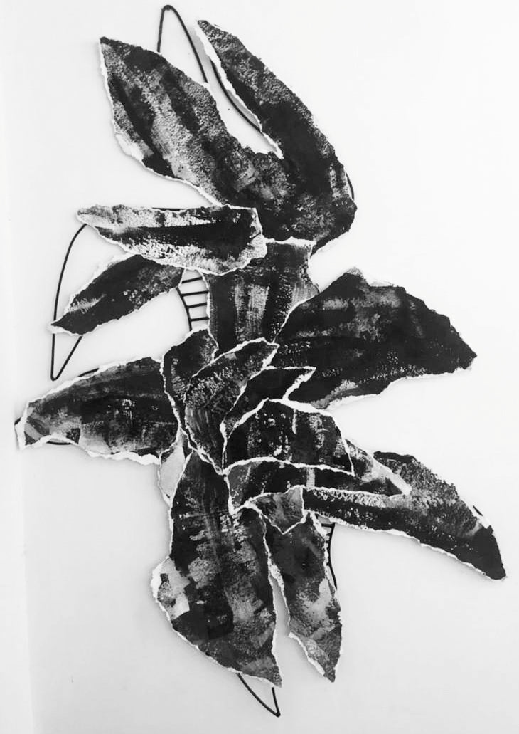 Untitled VM06