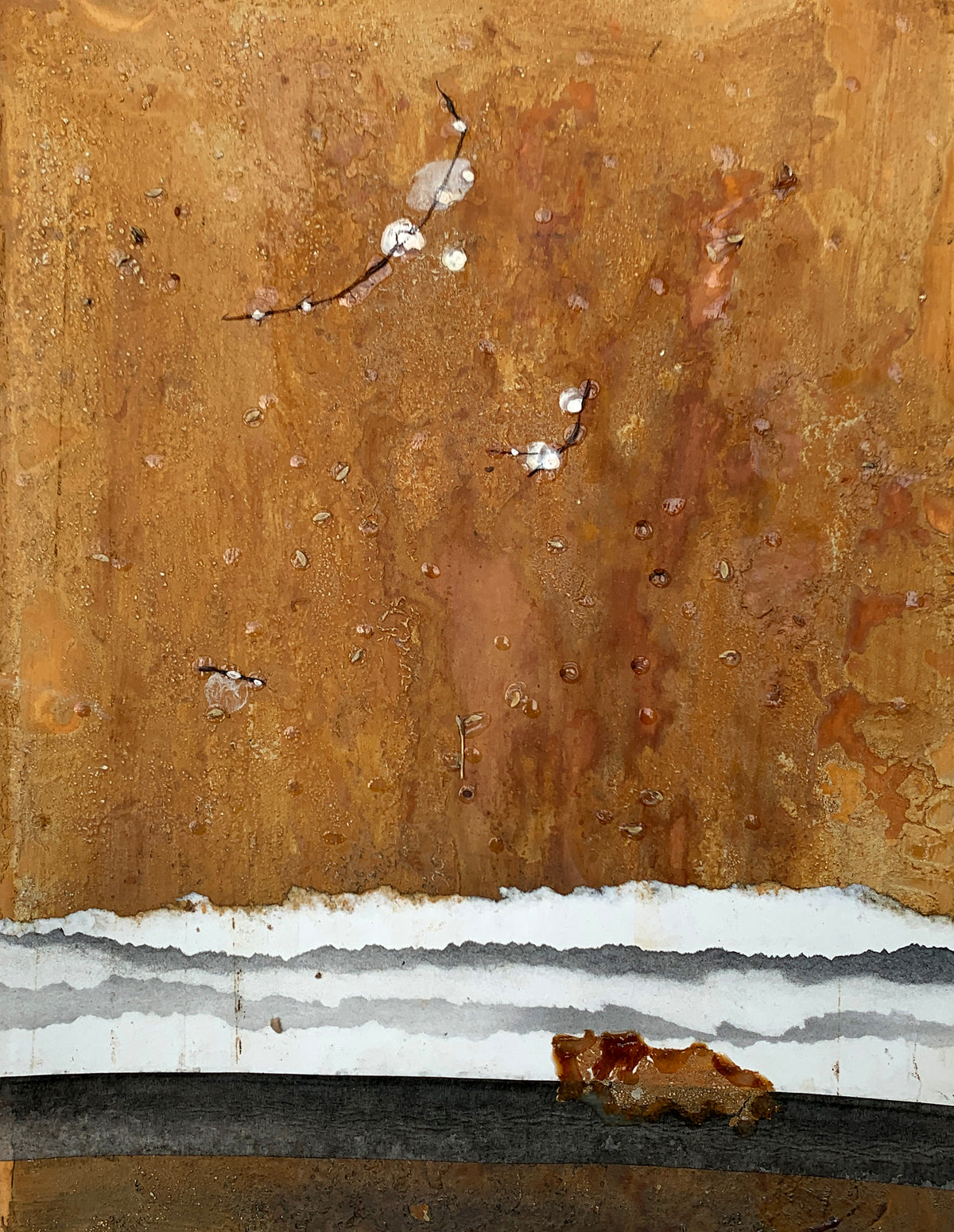 Untitled VP239