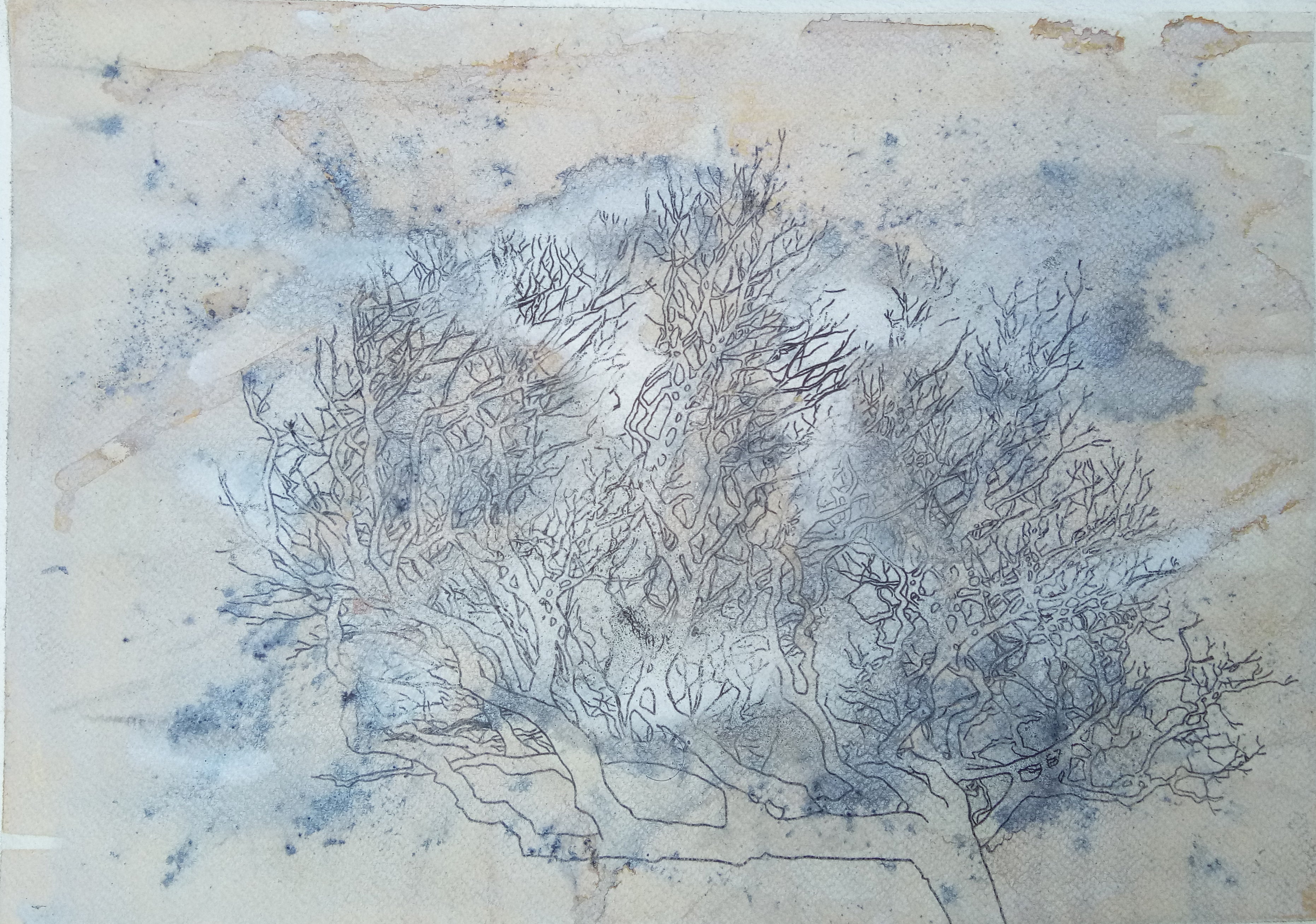 Untitled VP213