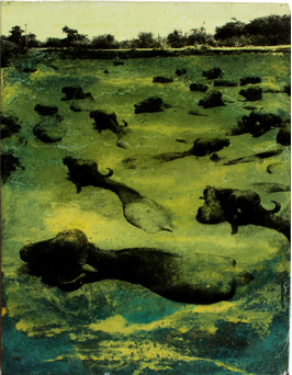 Untitled PP25