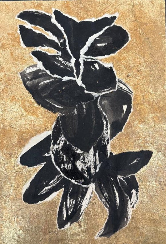 Untitled VM46