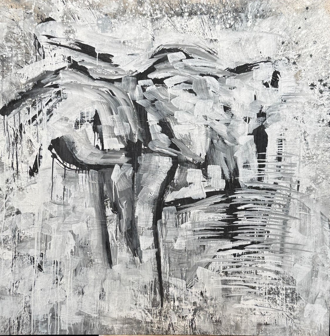 Untitled VM29